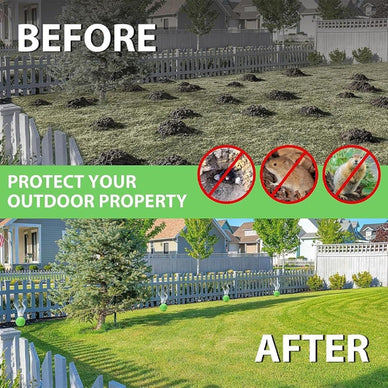 Live Pest-Free and Enjoy Peace of Mind